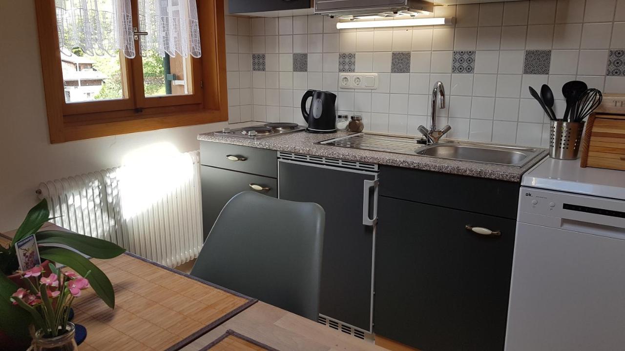Ferienwohnung Apres Ski Шрунс Экстерьер фото